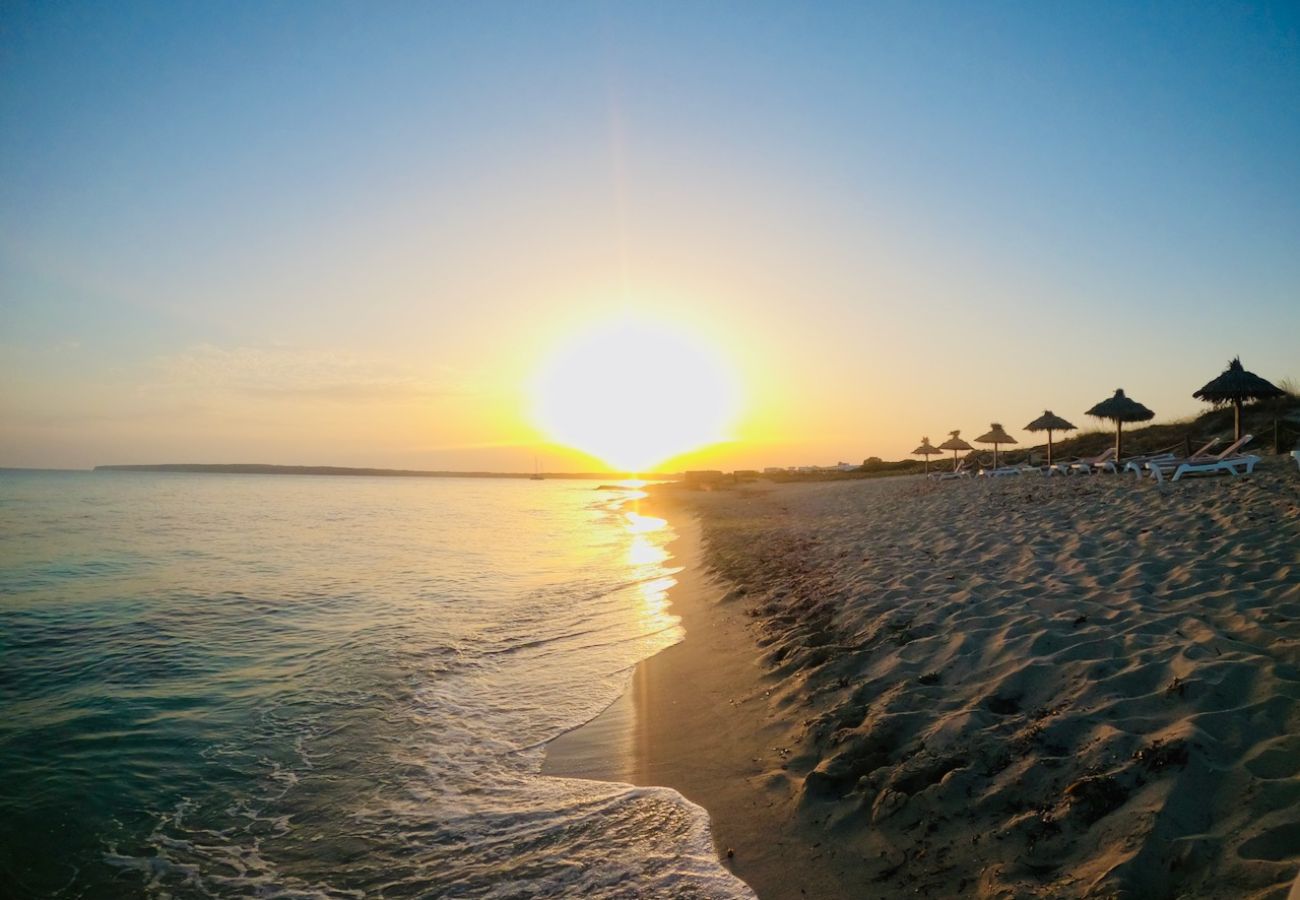 Bungalow em Playa de Migjorn - Casa Can Pep, Formentera - Bangalô de 1 quarto