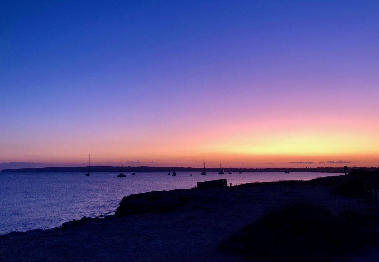 Bungalow em Playa de Migjorn - Casa Can Pep, Formentera - Bangalô de 1 quarto