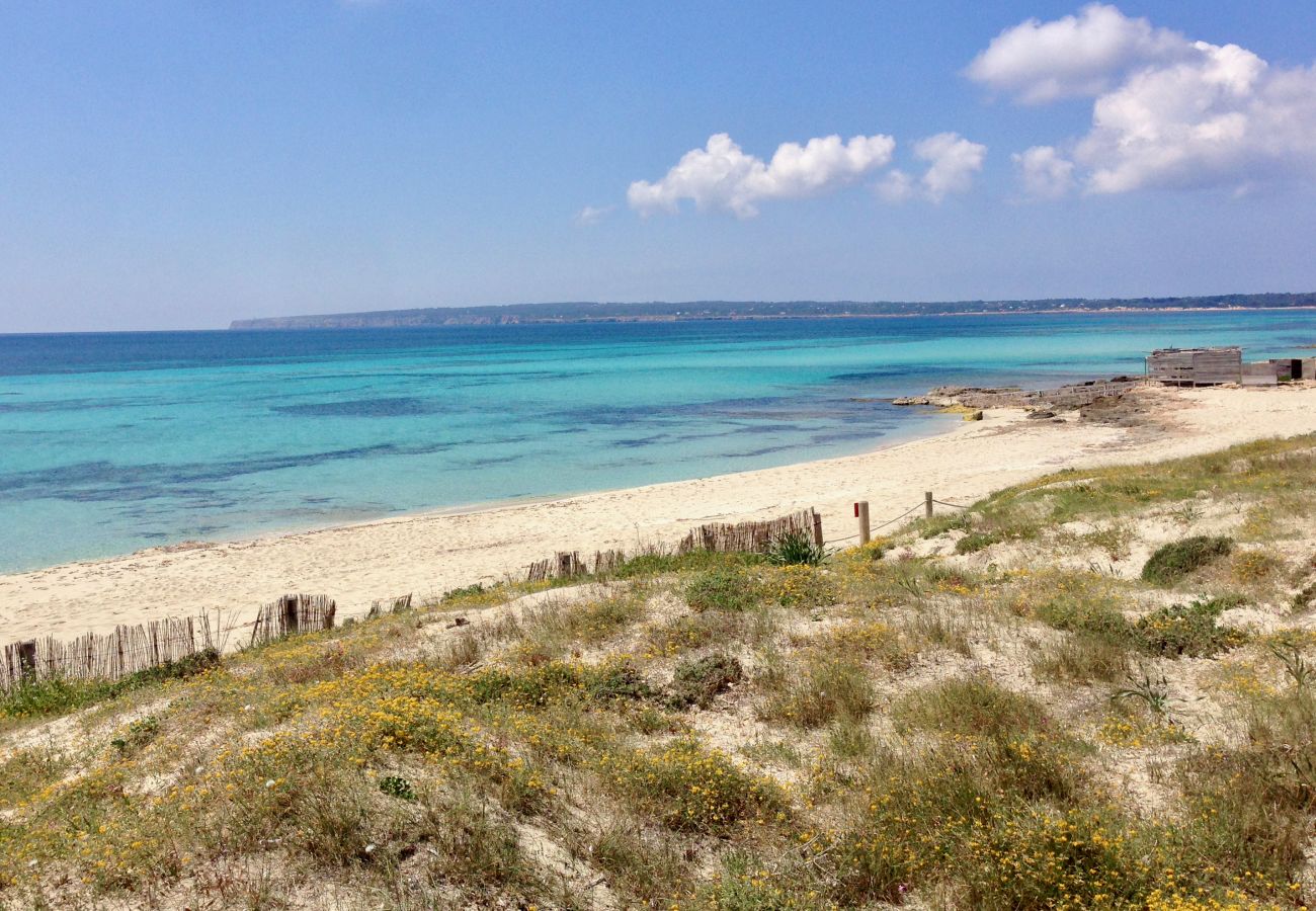 Bungalow em Playa de Migjorn - Casa Can Pep, Formentera - Bangalô de 1 quarto