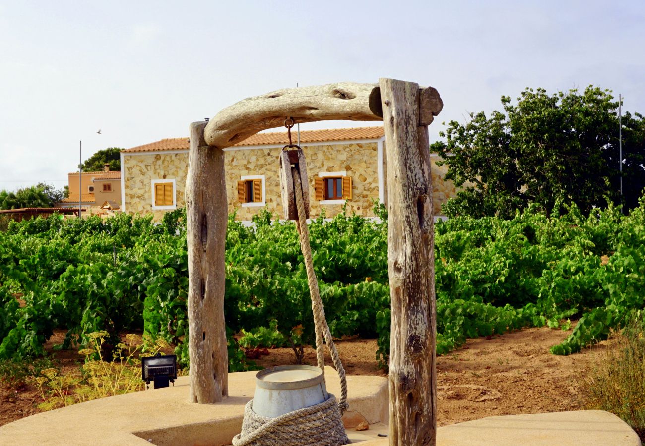 Bungalow em Playa de Migjorn - Casa Can Pep, Formentera - Bangalô de 1 quarto